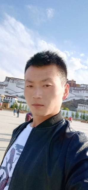 阳光下的小草的第二张照片--甘肃上门女婿服务网